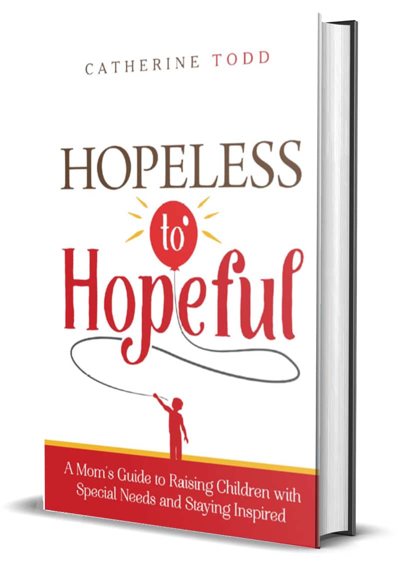 hopeless book